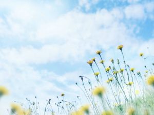 消费扶贫助力脱贫攻坚工作实施方案,菁华1篇【精选推荐】